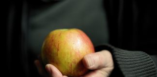 Jak skutecznie schudnąć? Dieta online jako nowoczesne rozwiązanie dla zapracowanych osób apple 5391