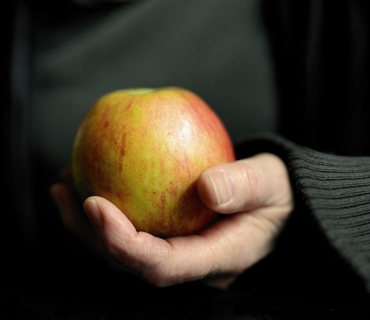 Jak skutecznie schudnąć? Dieta online jako nowoczesne rozwiązanie dla zapracowanych osób apple 5391