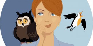 Chronotyp skowronka i sowy – jak Twój zegar biologiczny wpływa na produktywność i jakość życia jestem sową i kocham wieczory