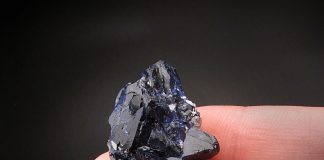 Biodostępność składników mineralnych – podstawowe czynniki wpływające na przyswajanie mikroelementów w organizmie Biodostępność składników mineralnych (1)