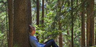 Regeneracja duszy wśród drzew: Jak terapie leśne wspierają zdrowie psychiczne i łagodzą stany lękowe terapie leśne