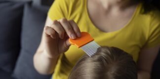 Wszawica u dzieci. Dlaczego najczęściej chorują właśnie najmłodsi? wszawica u dzieci