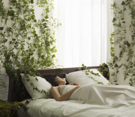 Sen to fundament zdrowia. Dlaczego jest tak bardzo ważny w naszym życiu? dobry sen zielen