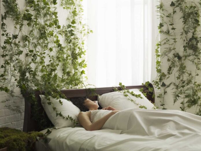 dobry sen zielen dobry sen zielen