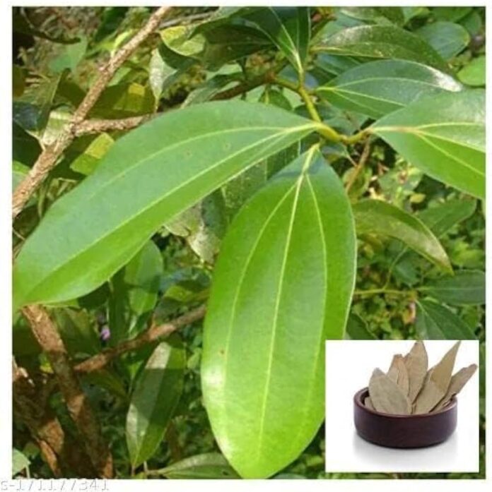 dsc 20231120 napar trawienny 1768946756