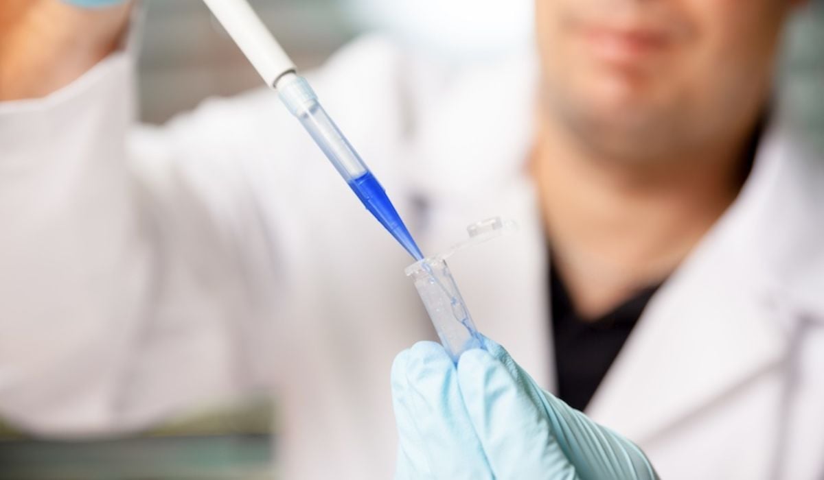 sekwencer DNA w pracy profilaktycznej starszy naukowiec regulujący automatyczny sekwencer DNA w nowoczesnym laboratorium