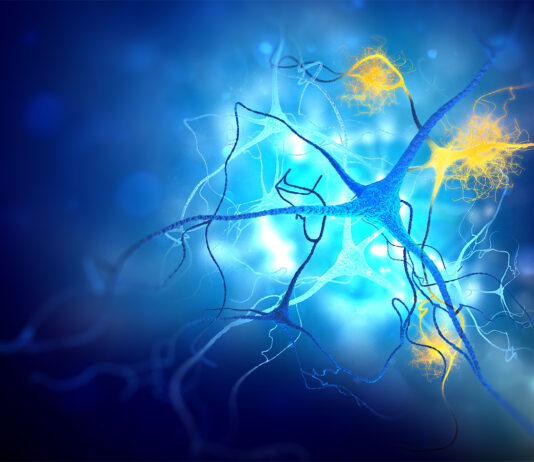 Stres oksydacyjny a starzenie: dlaczego wolne rodniki przyspieszają degradację komórek i jak ten proces zatrzymać? mikroskop dna uszkodzonego stresem oksydacyjnym