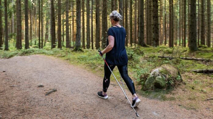 Para ergonomicznych butów do nordic walking na białym tle z kijkami obok