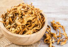 Cordyceps militaris: związki bioaktywne i ich wpływ na organizm cm 73a cordyceps militaris culture