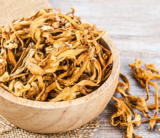 Cordyceps militaris: związki bioaktywne i ich wpływ na organizm cm 73a cordyceps militaris culture