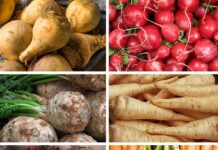 Warzywa niskoskrobiowe w cukrzycy – skrobia i węglowodany Świeże kolorowe warzywa niskoskrobiowe ułożone na jasnym talerzu
